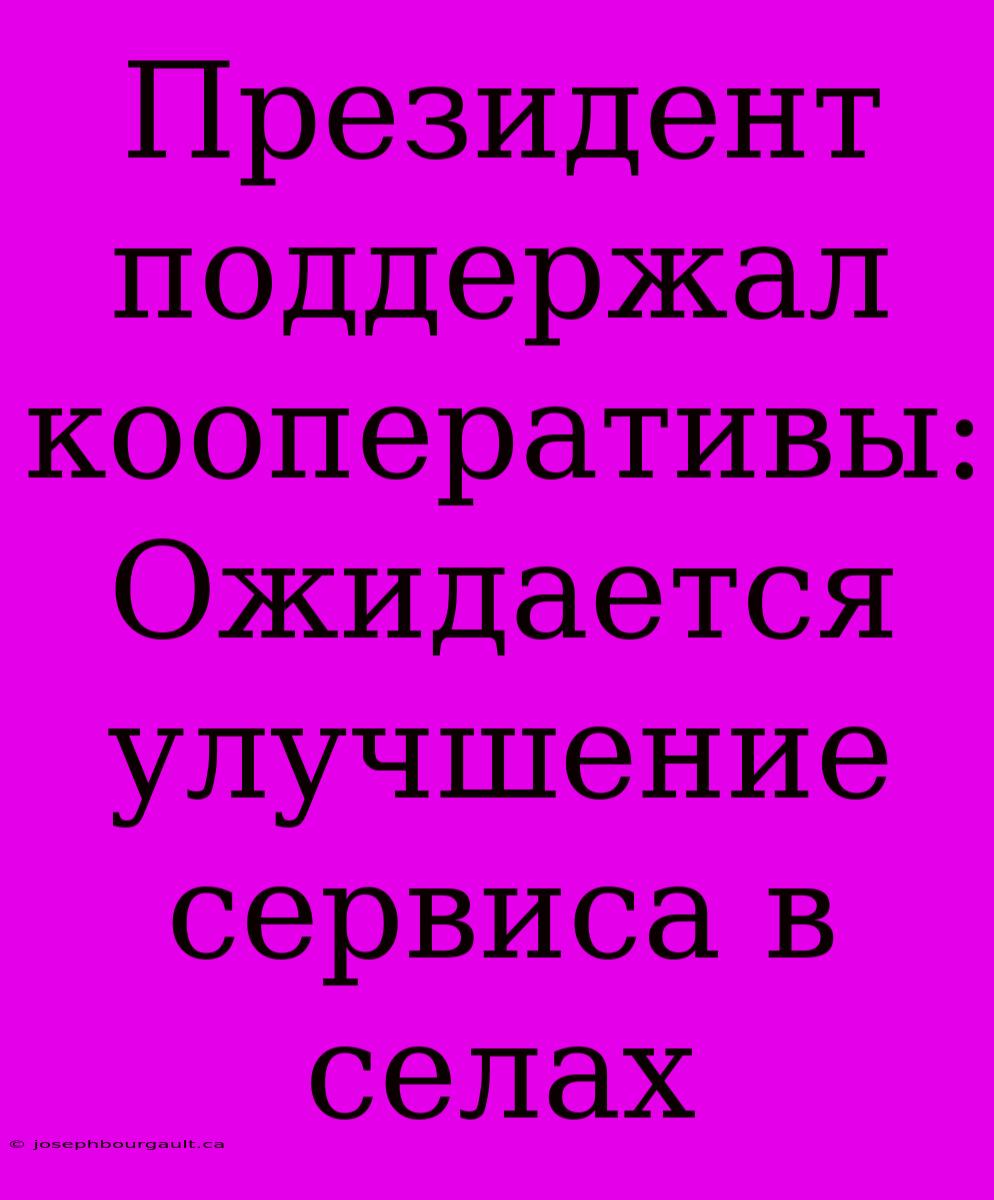 Президент Поддержал Кооперативы: Ожидается Улучшение Сервиса В Селах