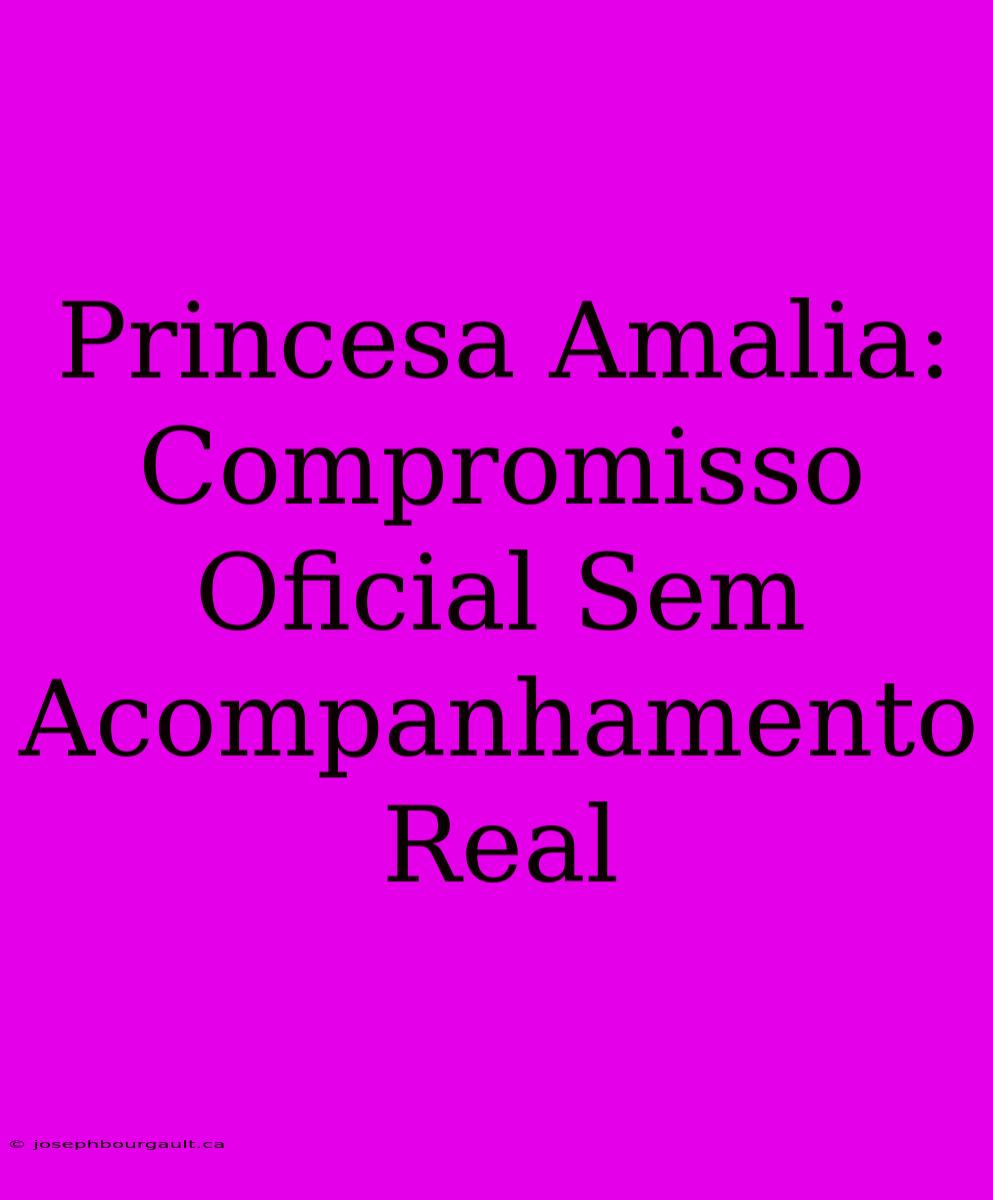 Princesa Amalia: Compromisso Oficial Sem Acompanhamento Real