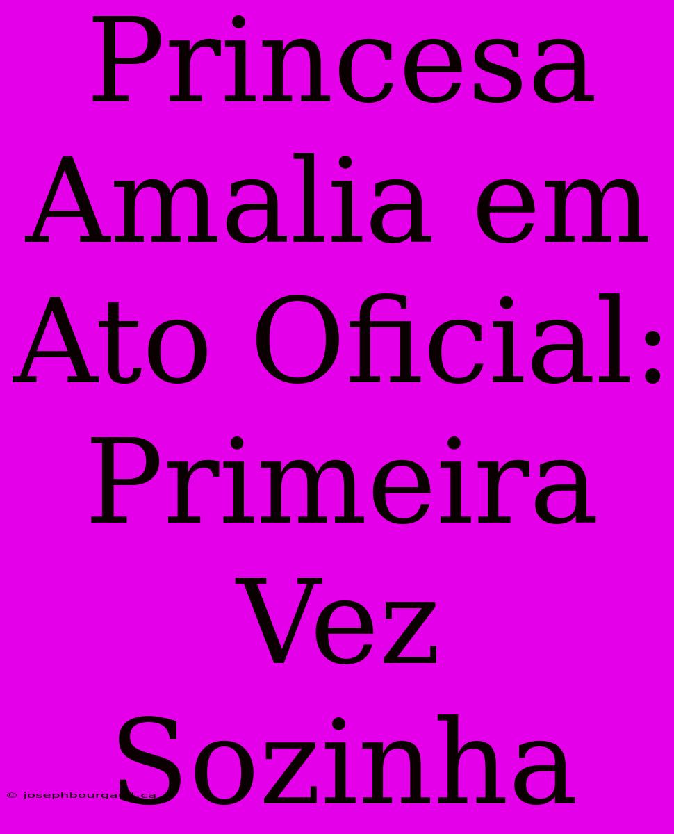 Princesa Amalia Em Ato Oficial: Primeira Vez Sozinha