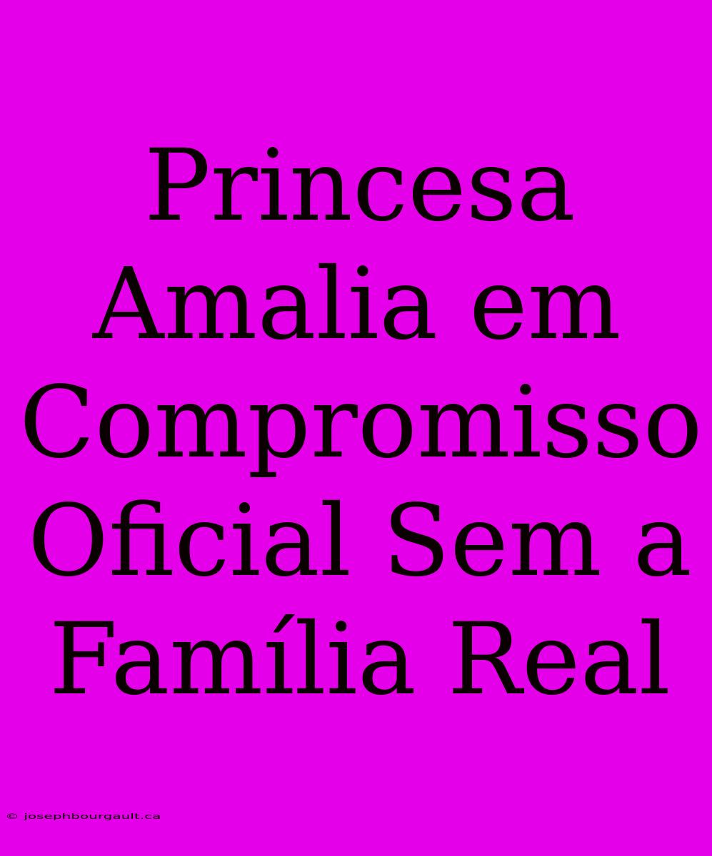 Princesa Amalia Em Compromisso Oficial Sem A Família Real