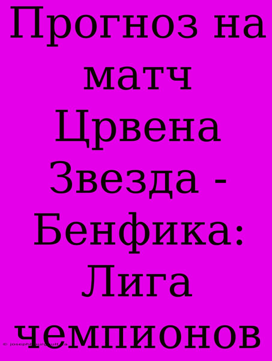 Прогноз На Матч Црвена Звезда - Бенфика: Лига Чемпионов