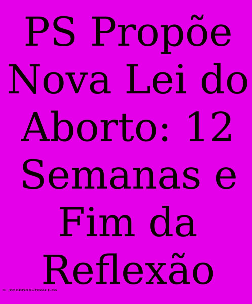 PS Propõe Nova Lei Do Aborto: 12 Semanas E Fim Da Reflexão