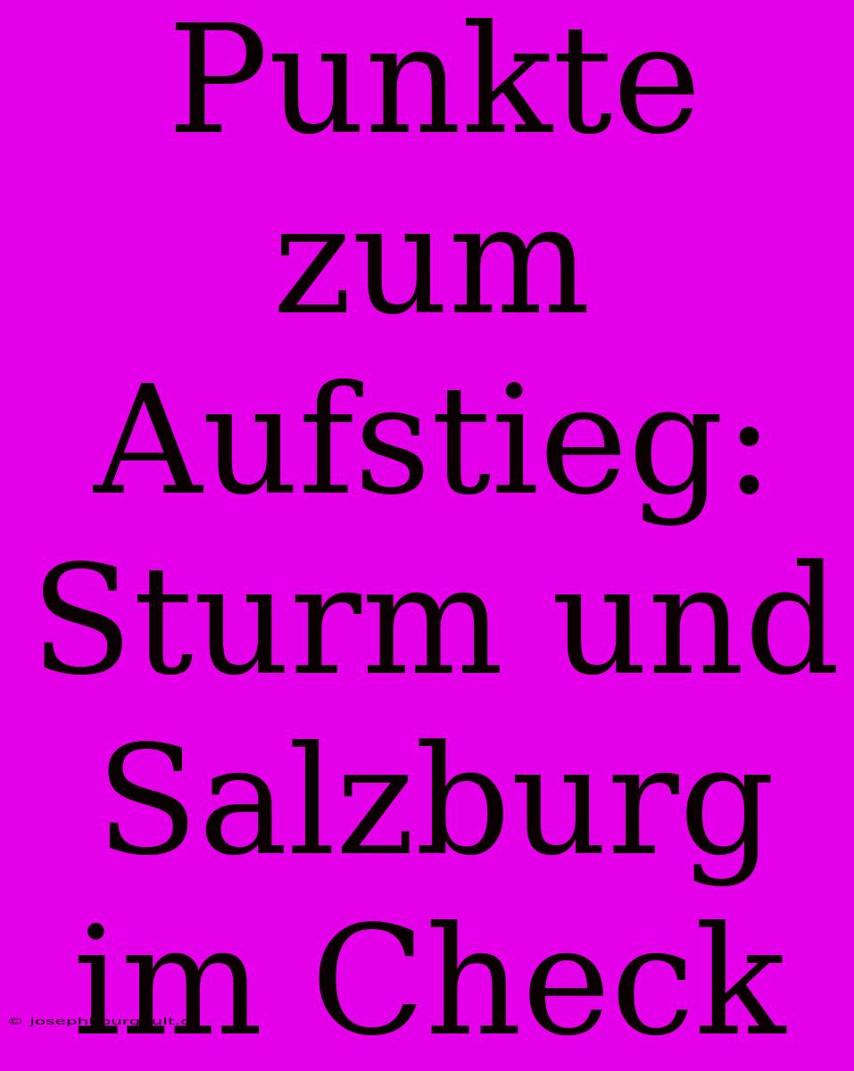 Punkte Zum Aufstieg: Sturm Und Salzburg Im Check