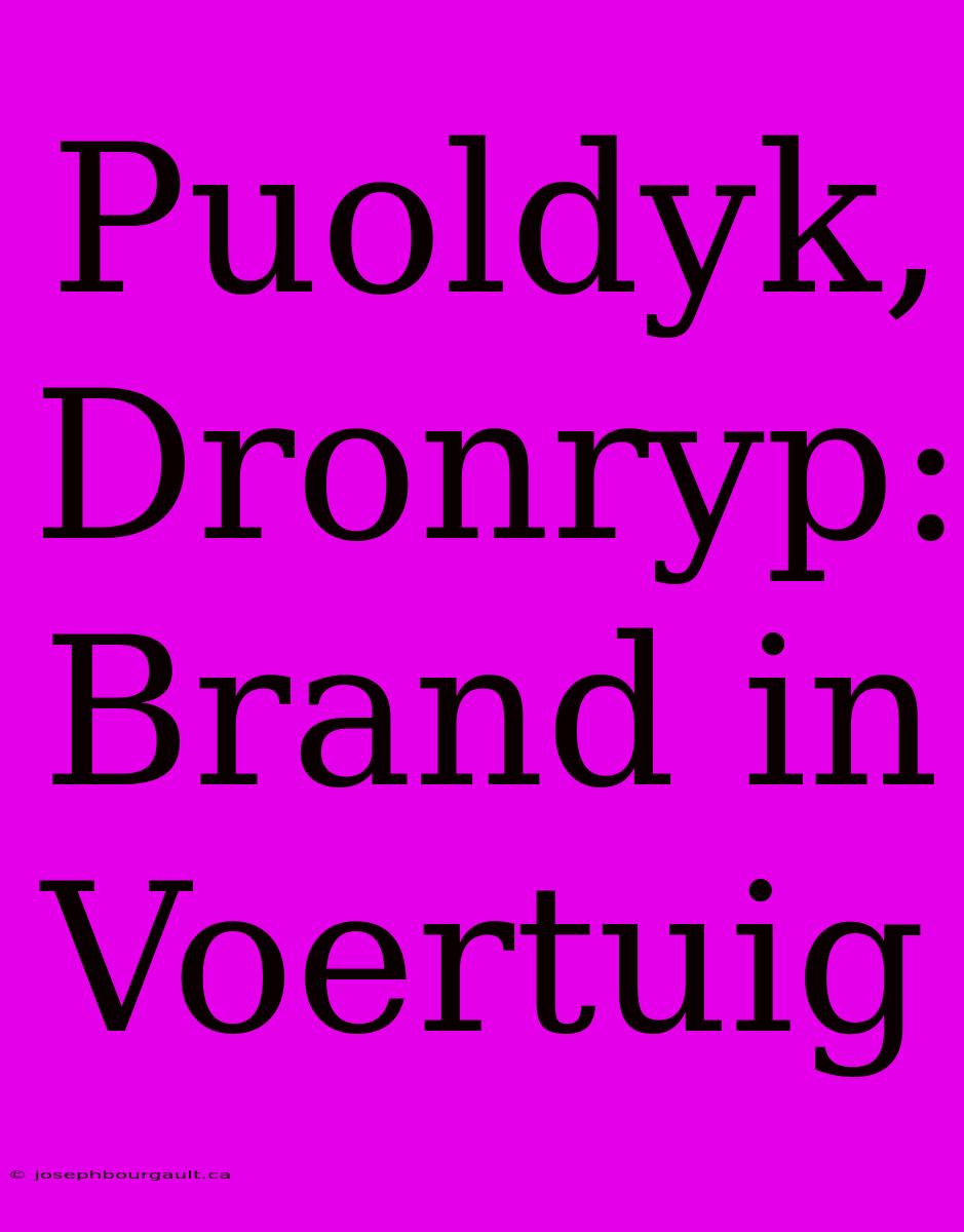 Puoldyk, Dronryp: Brand In Voertuig