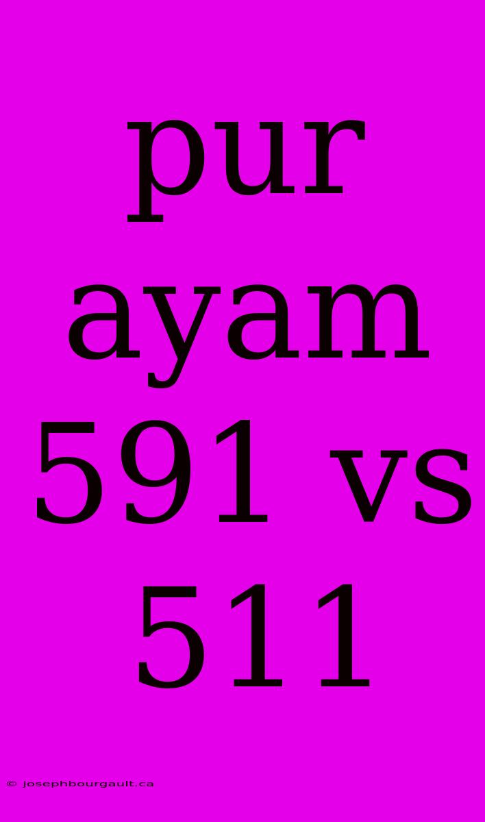 Pur Ayam 591 Vs 511