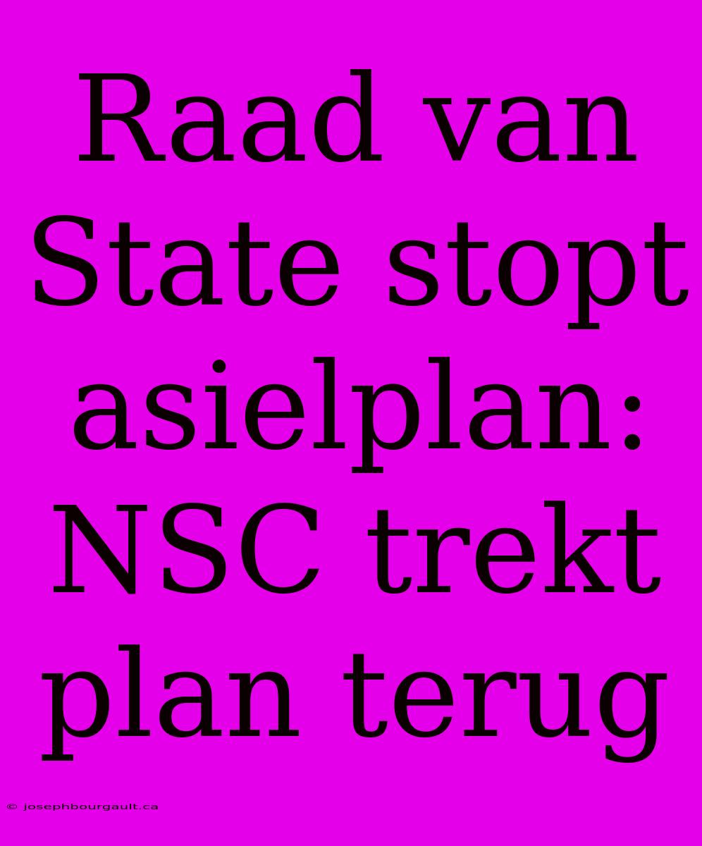 Raad Van State Stopt Asielplan: NSC Trekt Plan Terug