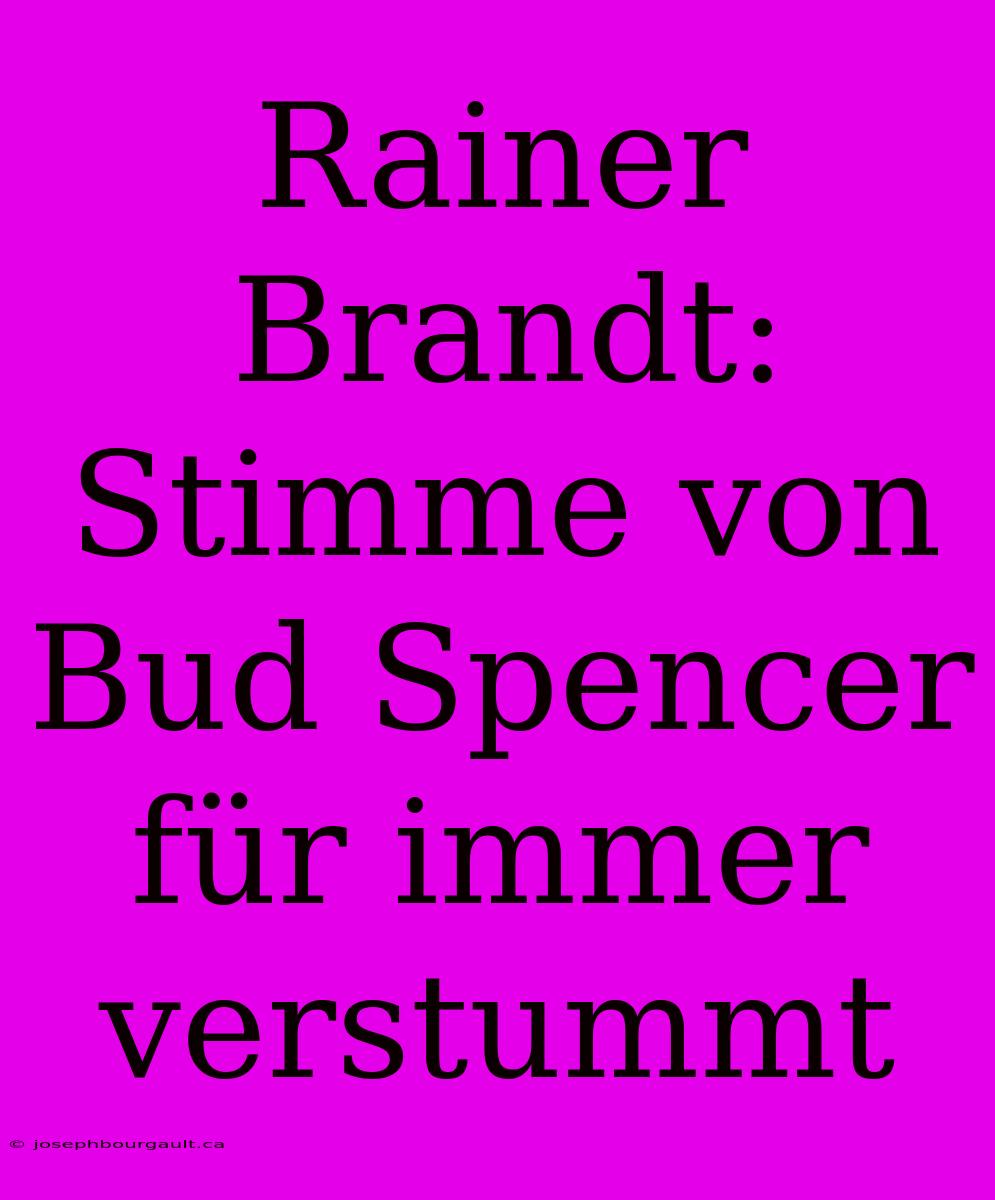 Rainer Brandt: Stimme Von Bud Spencer Für Immer Verstummt