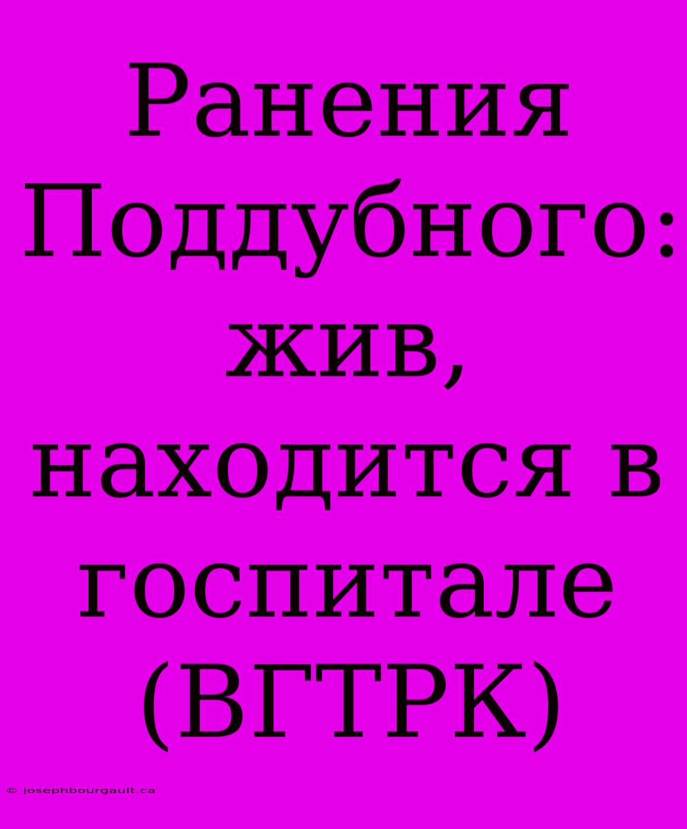 Ранения Поддубного: Жив, Находится В Госпитале (ВГТРК)