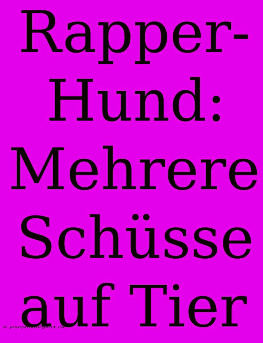 Rapper-Hund: Mehrere Schüsse Auf Tier