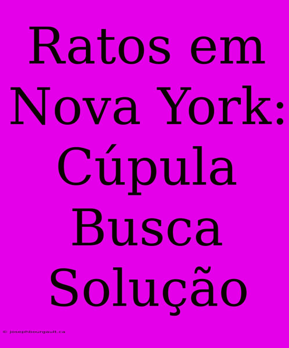 Ratos Em Nova York: Cúpula Busca Solução