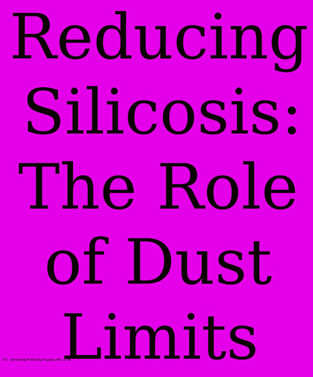 Reducing Silicosis: The Role Of Dust Limits