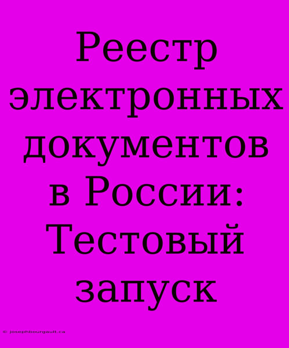 Реестр Электронных Документов В России: Тестовый Запуск