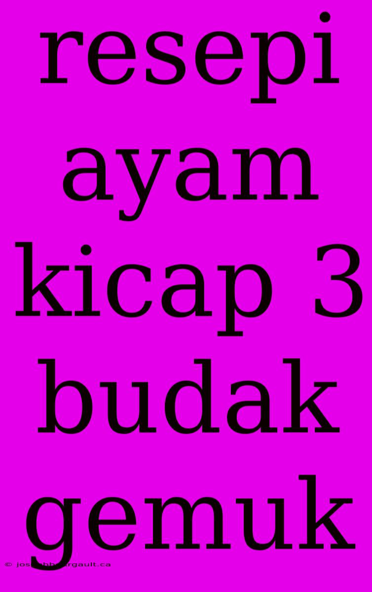 Resepi Ayam Kicap 3 Budak Gemuk