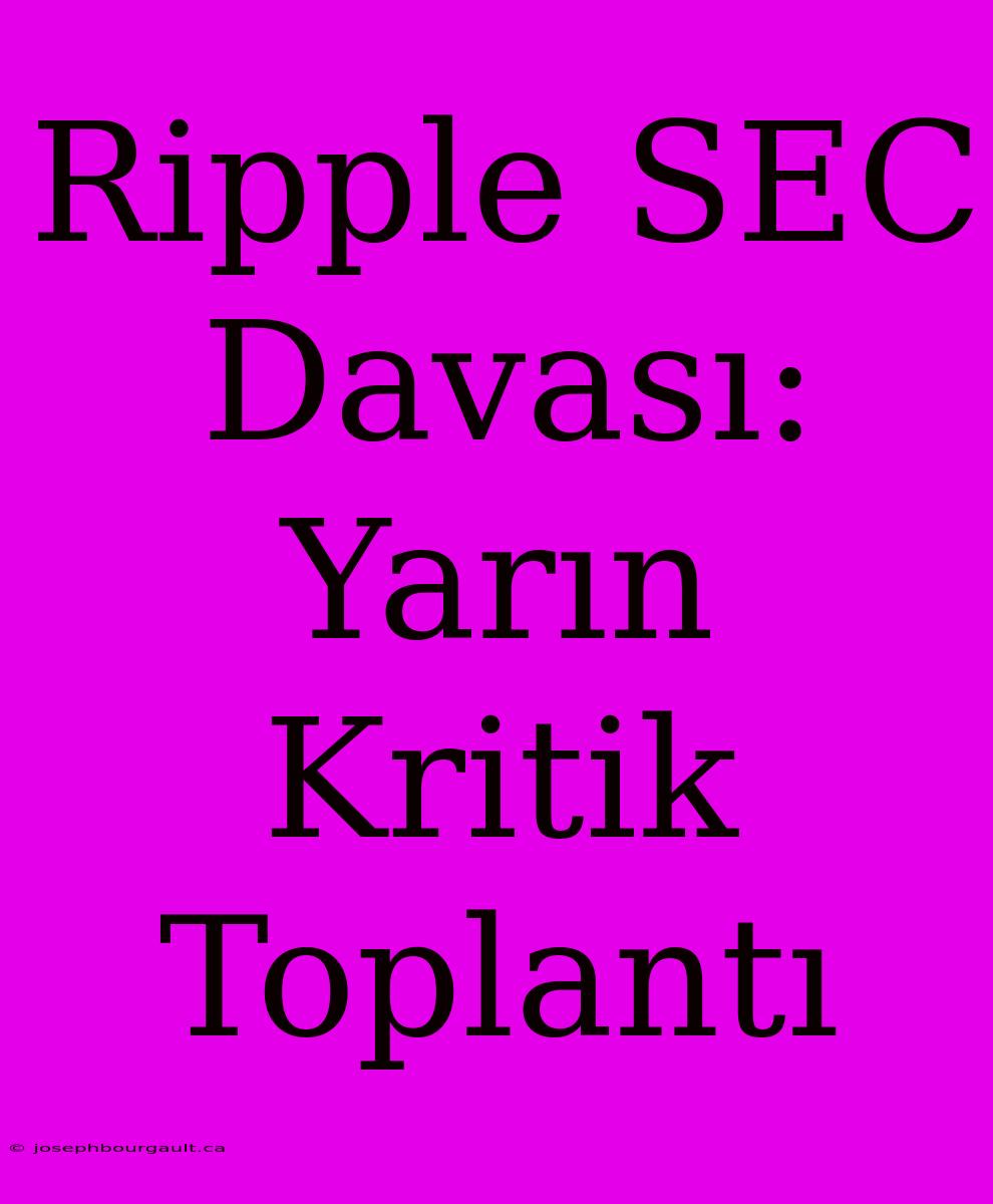 Ripple SEC Davası: Yarın Kritik Toplantı