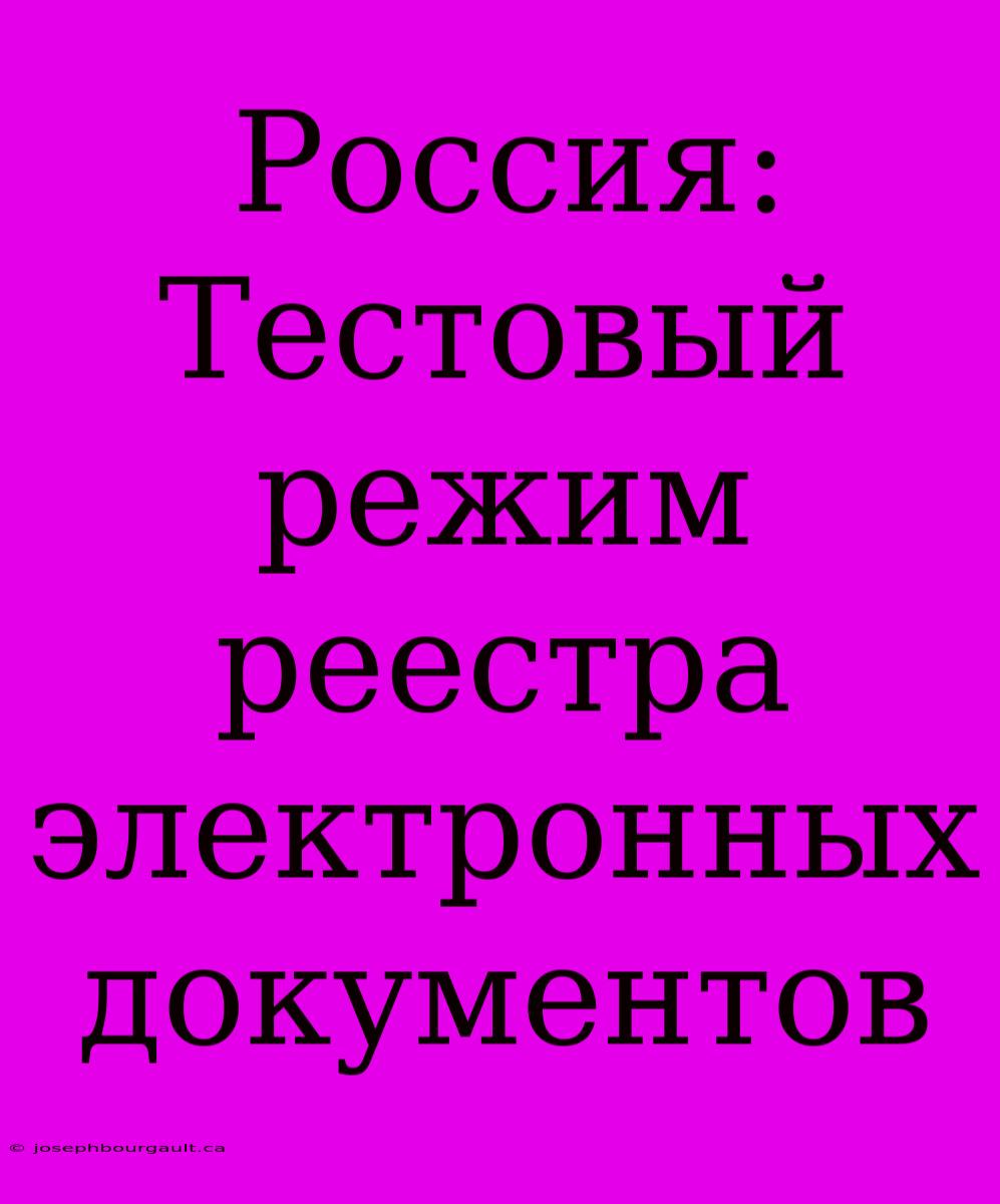 Россия: Тестовый Режим Реестра Электронных Документов