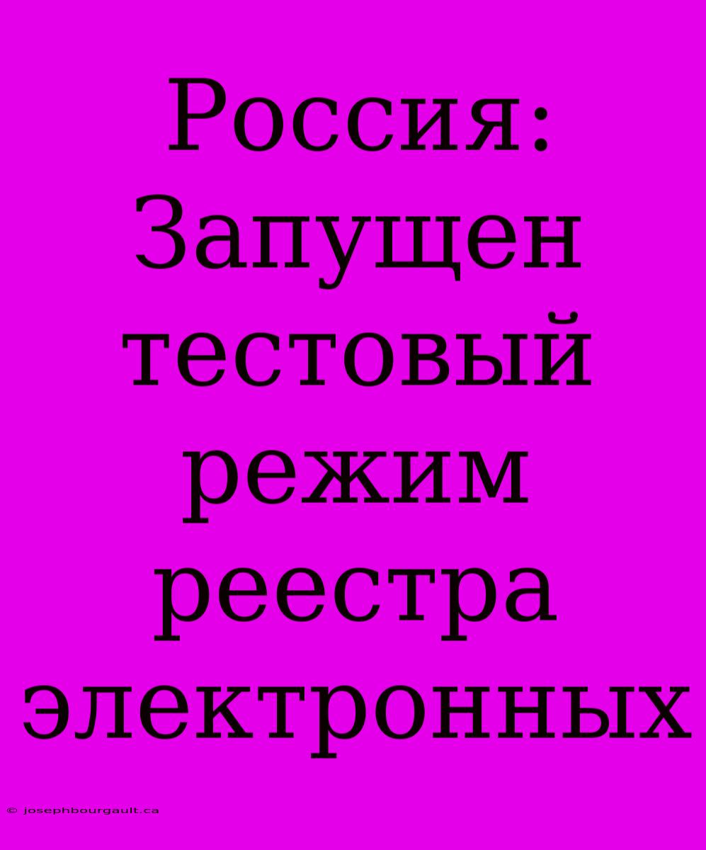 Россия: Запущен Тестовый Режим Реестра Электронных