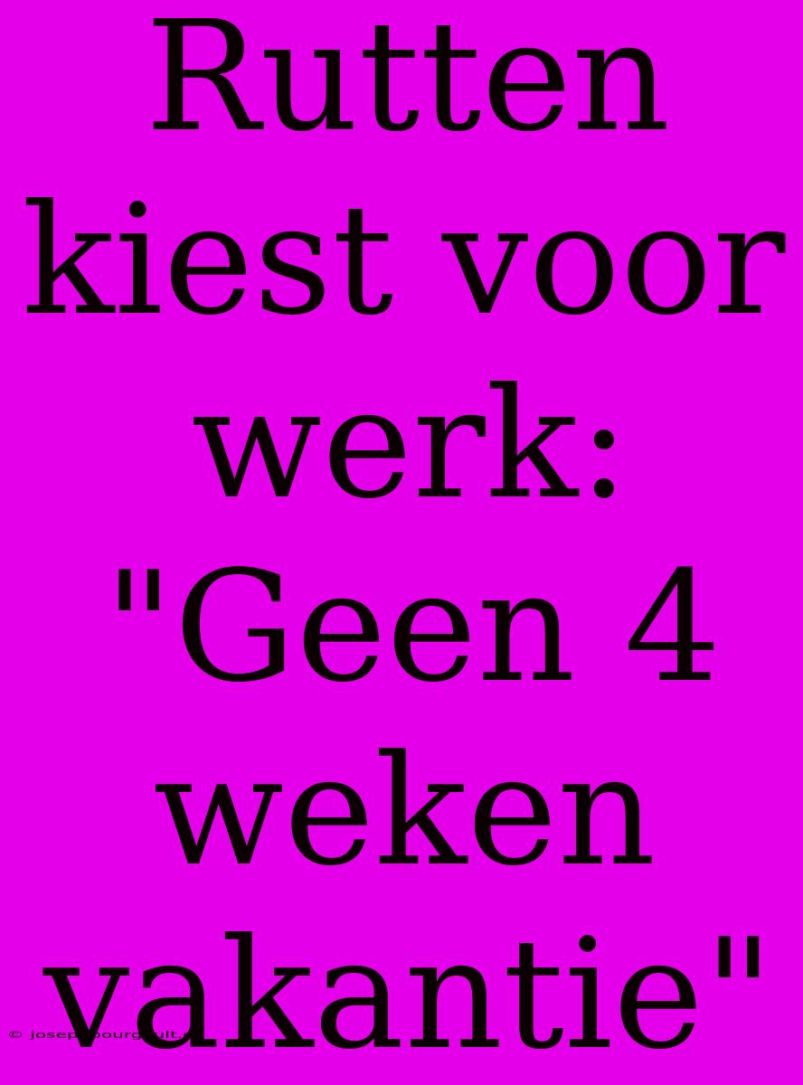 Rutten Kiest Voor Werk: 