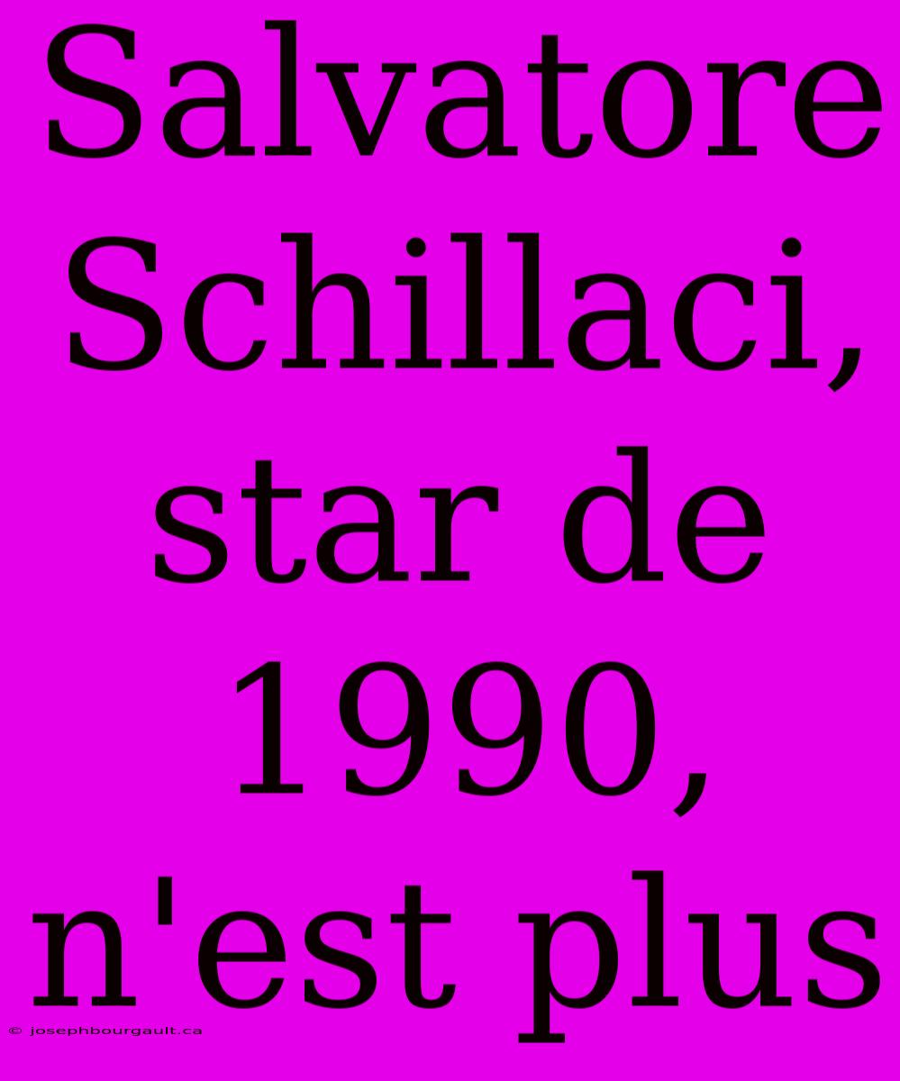 Salvatore Schillaci, Star De 1990, N'est Plus