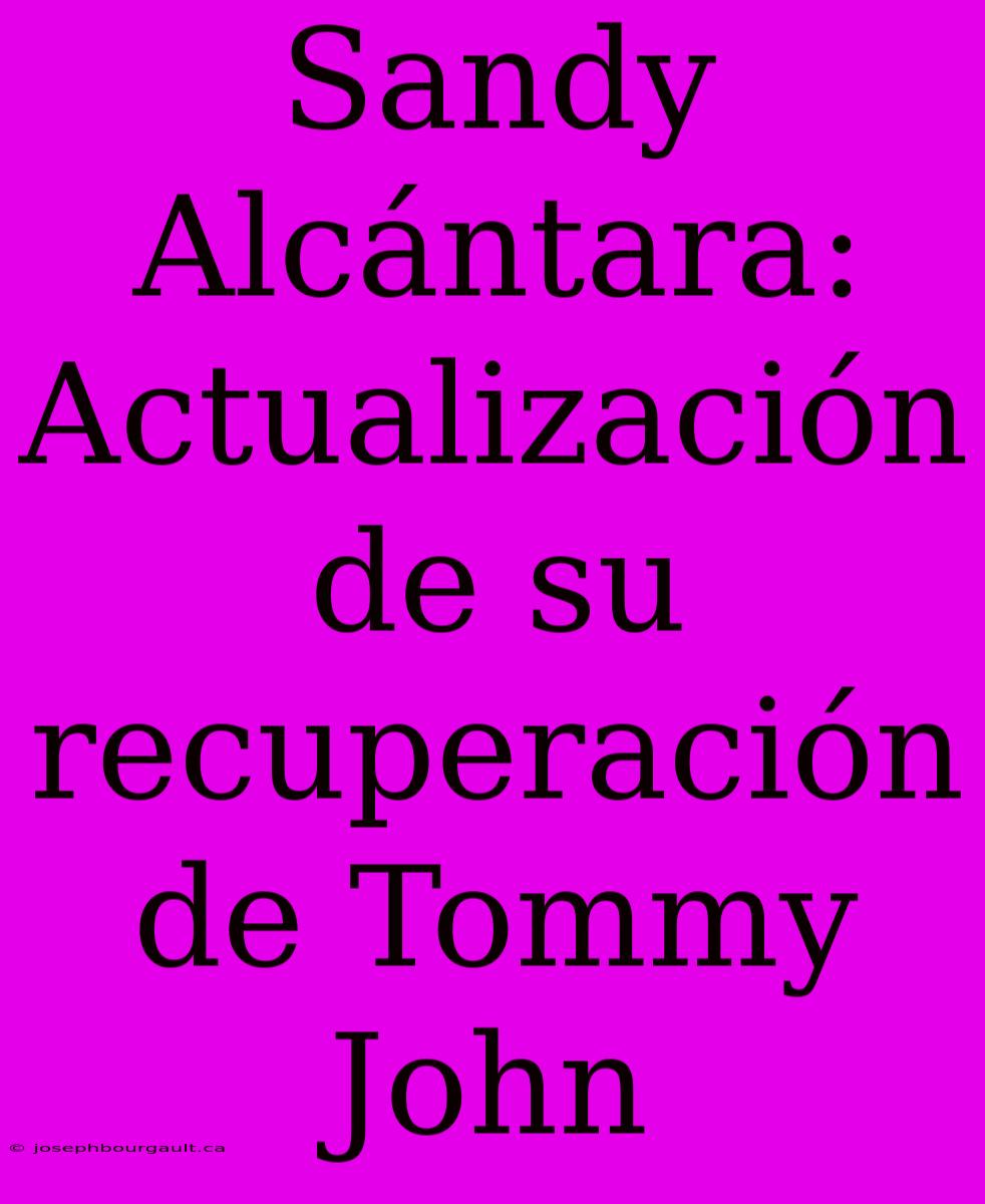 Sandy Alcántara: Actualización De Su Recuperación De Tommy John