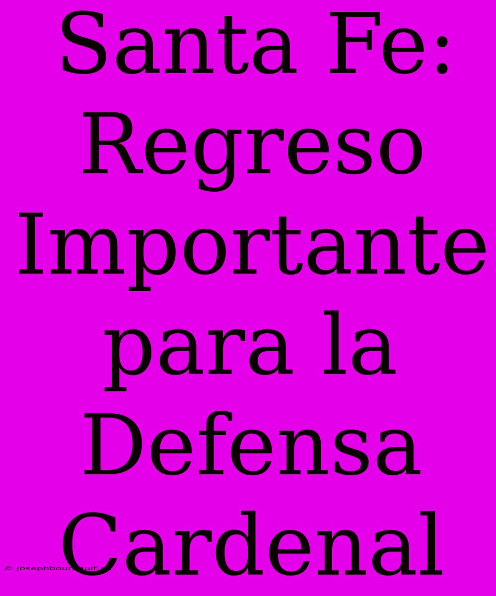 Santa Fe: Regreso Importante Para La Defensa Cardenal