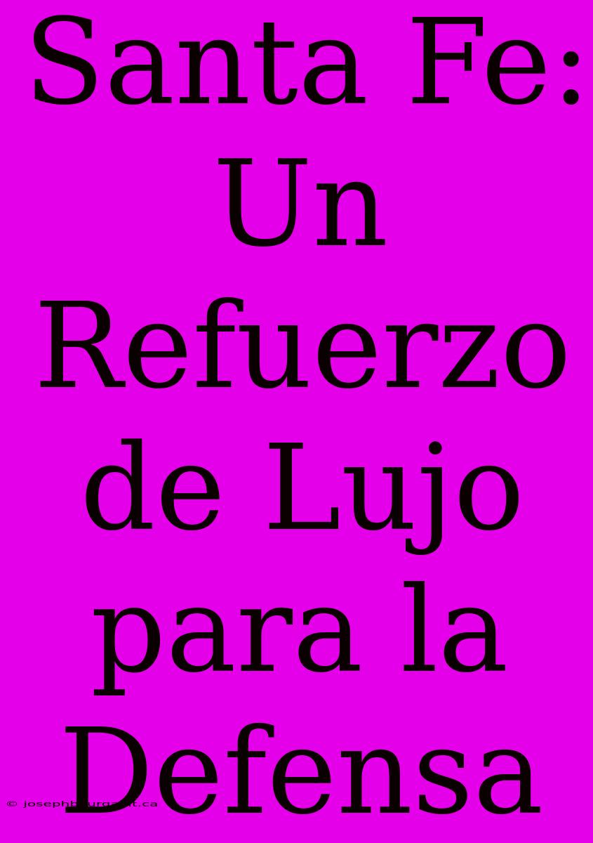 Santa Fe: Un Refuerzo De Lujo Para La Defensa