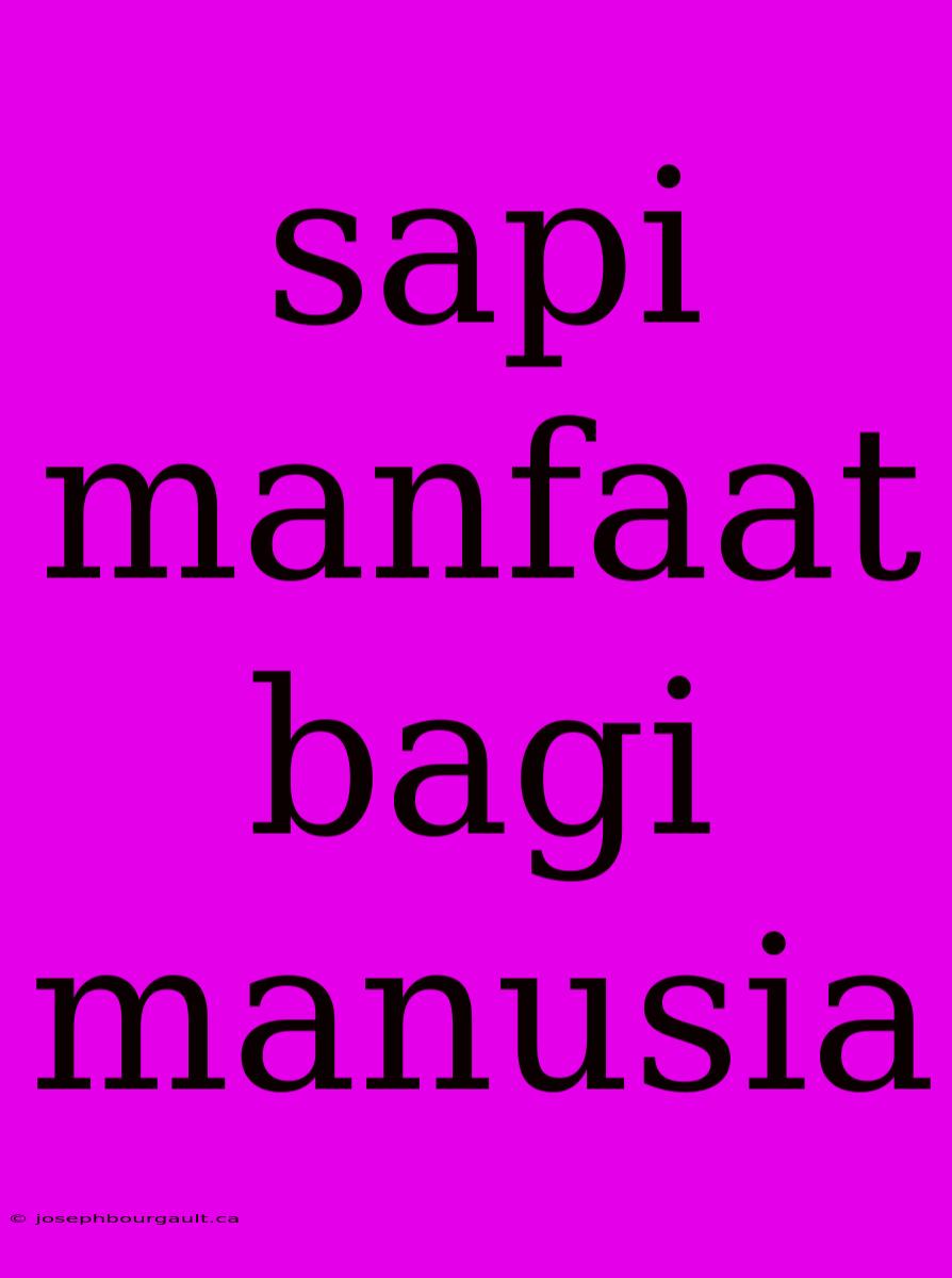 Sapi Manfaat Bagi Manusia