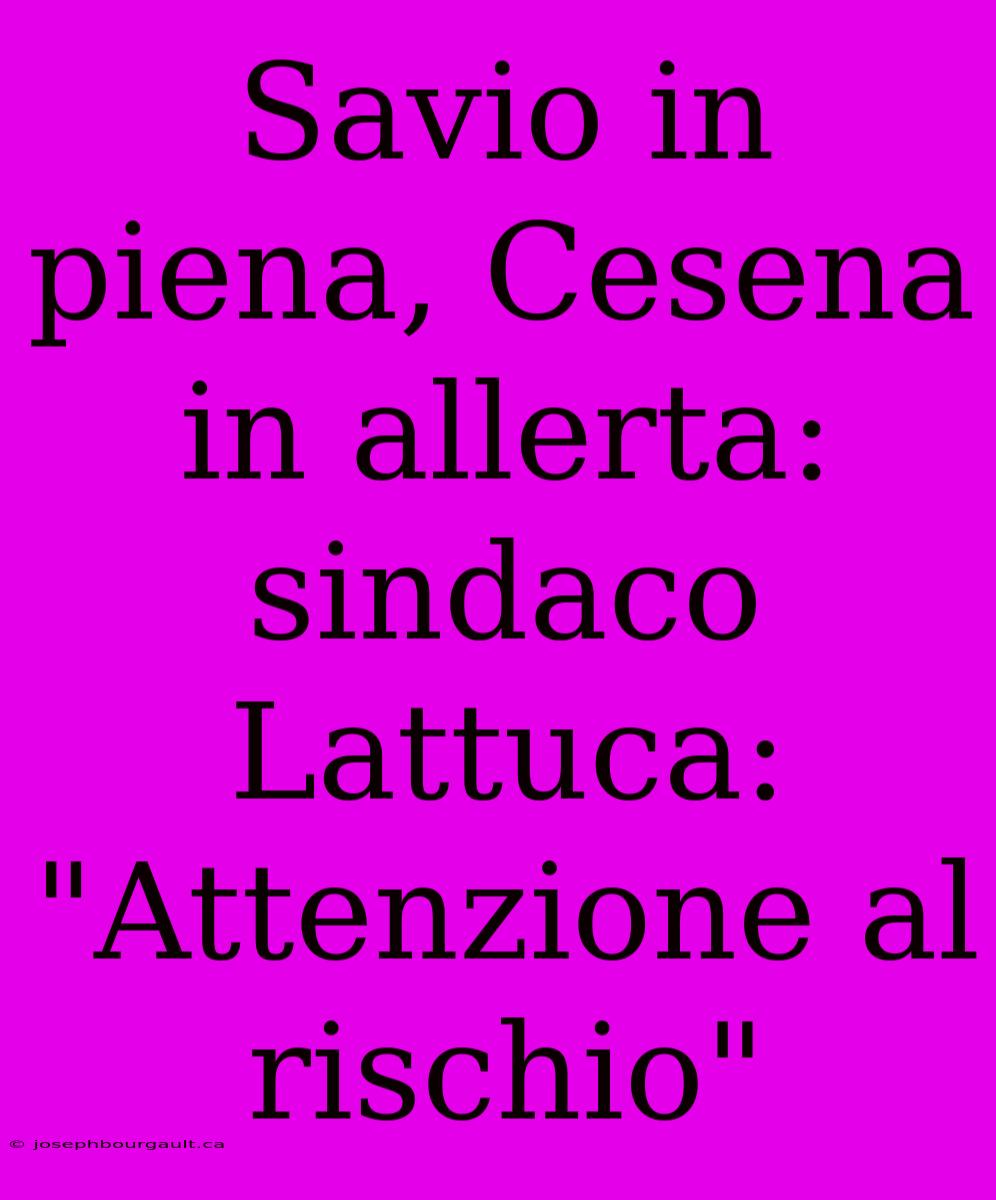 Savio In Piena, Cesena In Allerta: Sindaco Lattuca: 