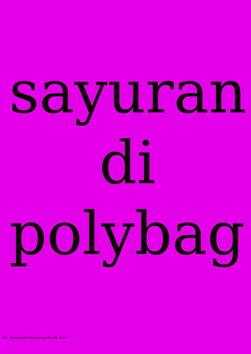 Sayuran Di Polybag