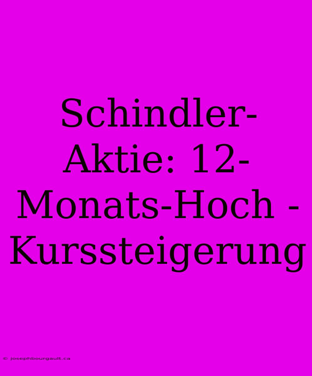 Schindler-Aktie: 12-Monats-Hoch - Kurssteigerung