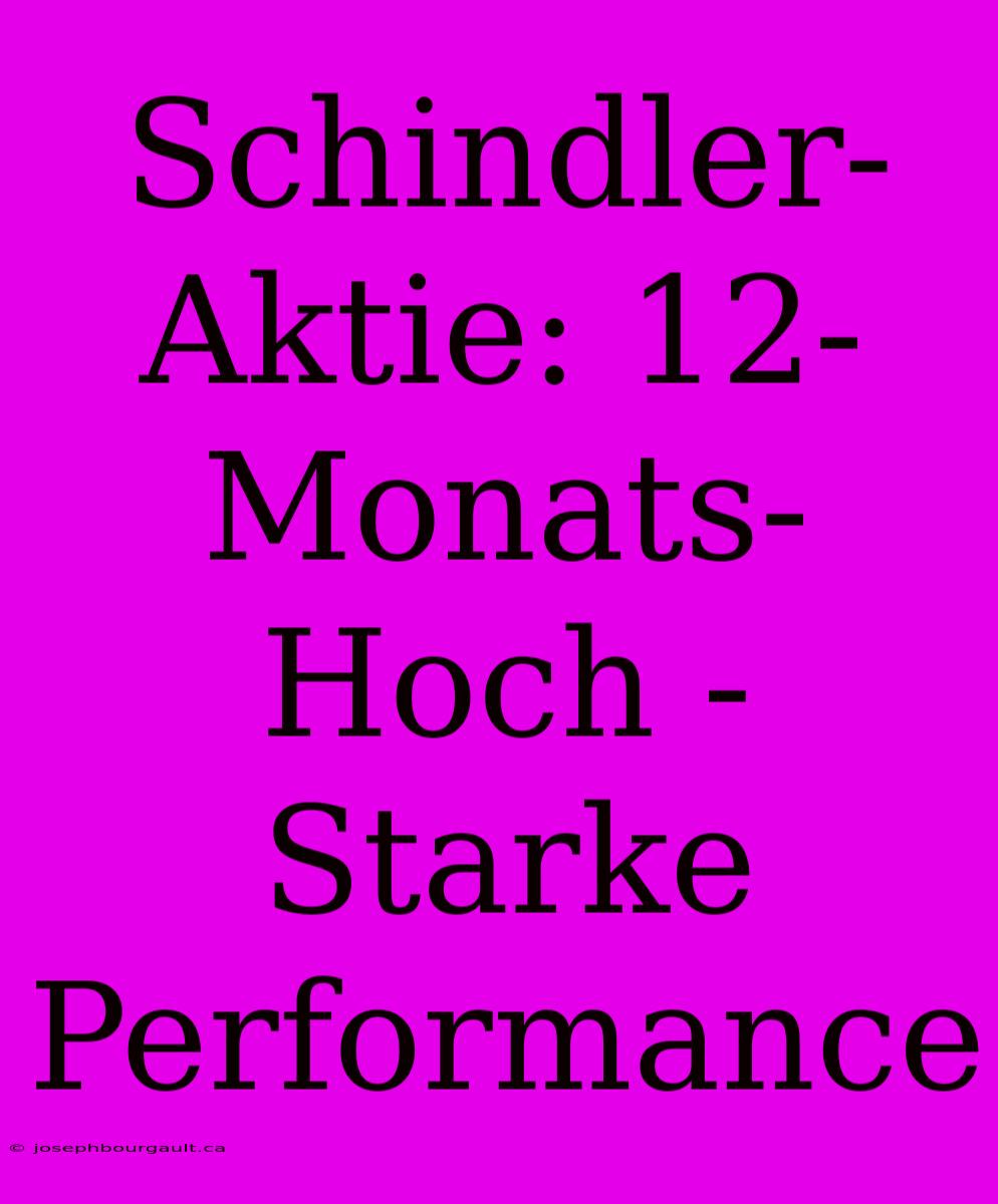 Schindler-Aktie: 12-Monats-Hoch - Starke Performance