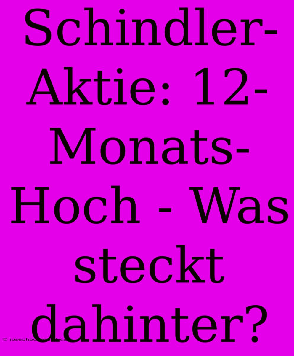 Schindler-Aktie: 12-Monats-Hoch - Was Steckt Dahinter?