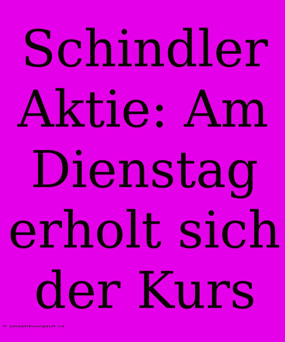 Schindler Aktie: Am Dienstag Erholt Sich Der Kurs