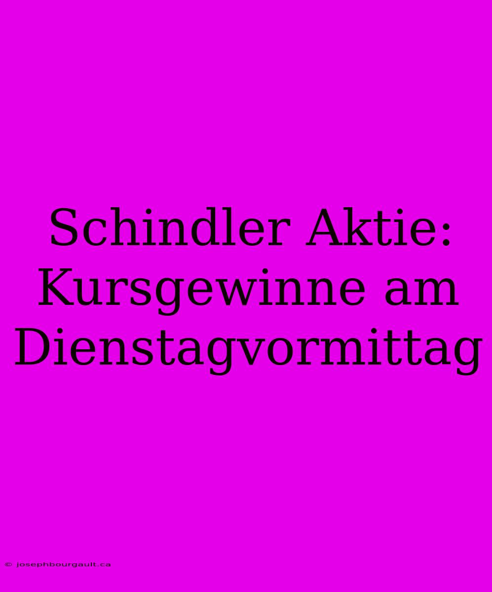 Schindler Aktie: Kursgewinne Am Dienstagvormittag