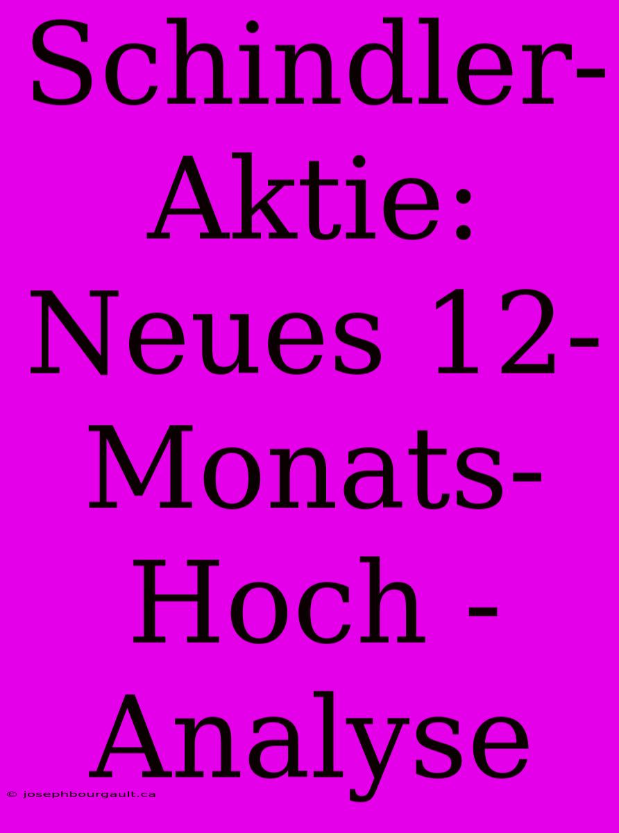 Schindler-Aktie: Neues 12-Monats-Hoch - Analyse