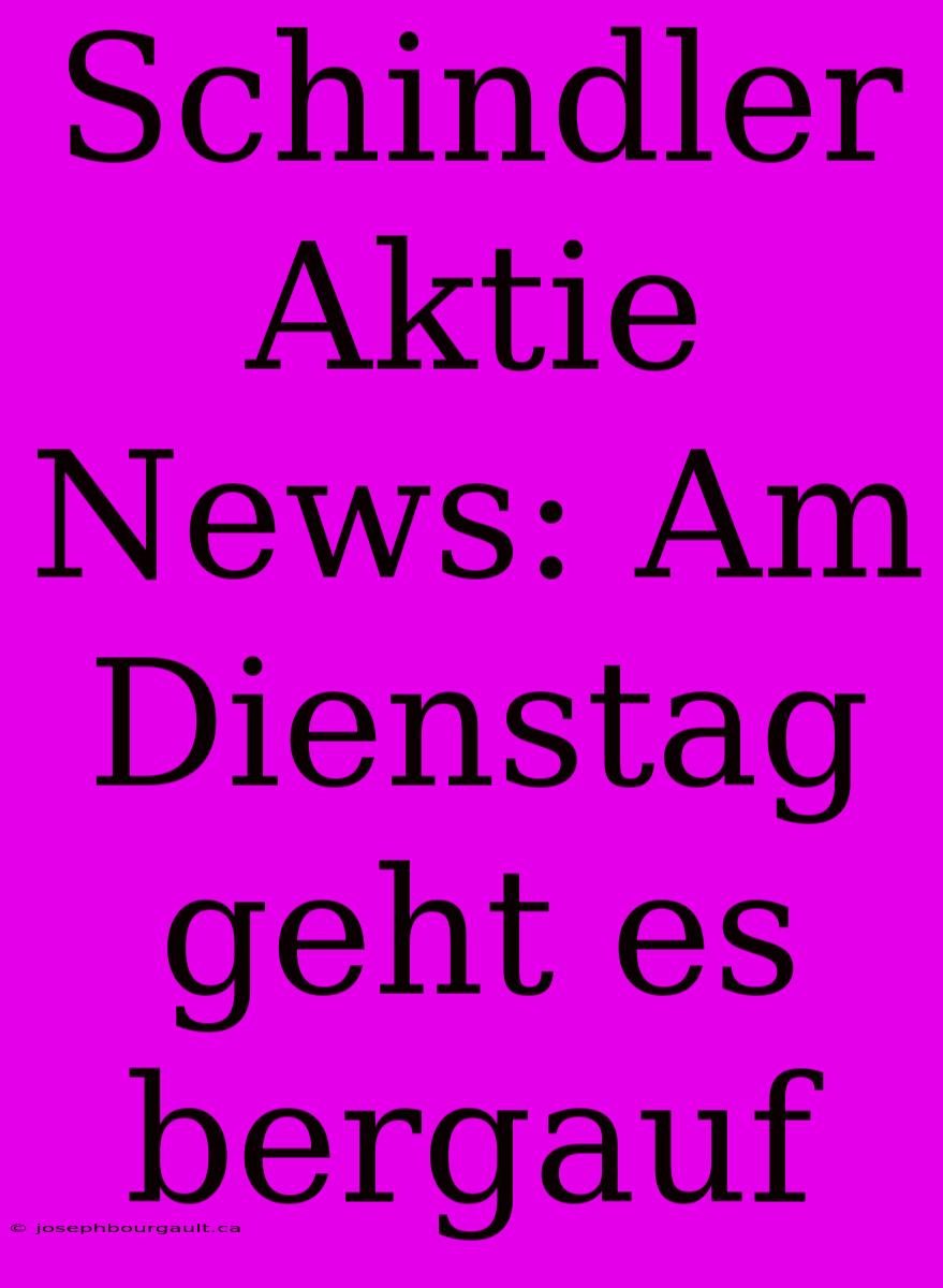 Schindler Aktie News: Am Dienstag Geht Es Bergauf