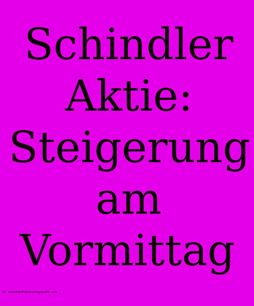 Schindler Aktie: Steigerung Am Vormittag