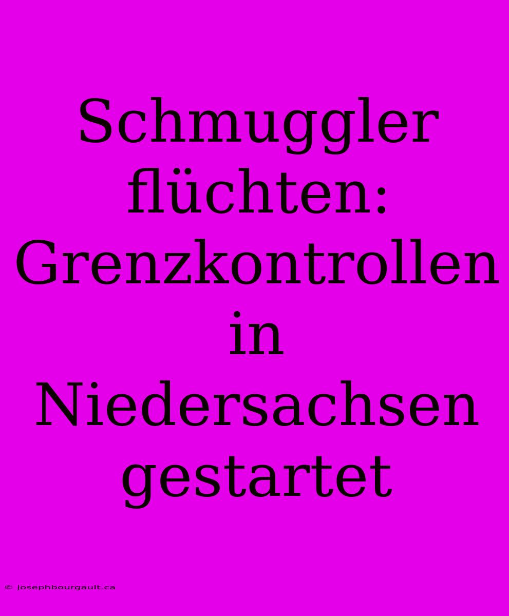Schmuggler Flüchten: Grenzkontrollen In Niedersachsen Gestartet
