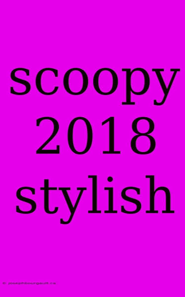 Scoopy 2018 Stylish