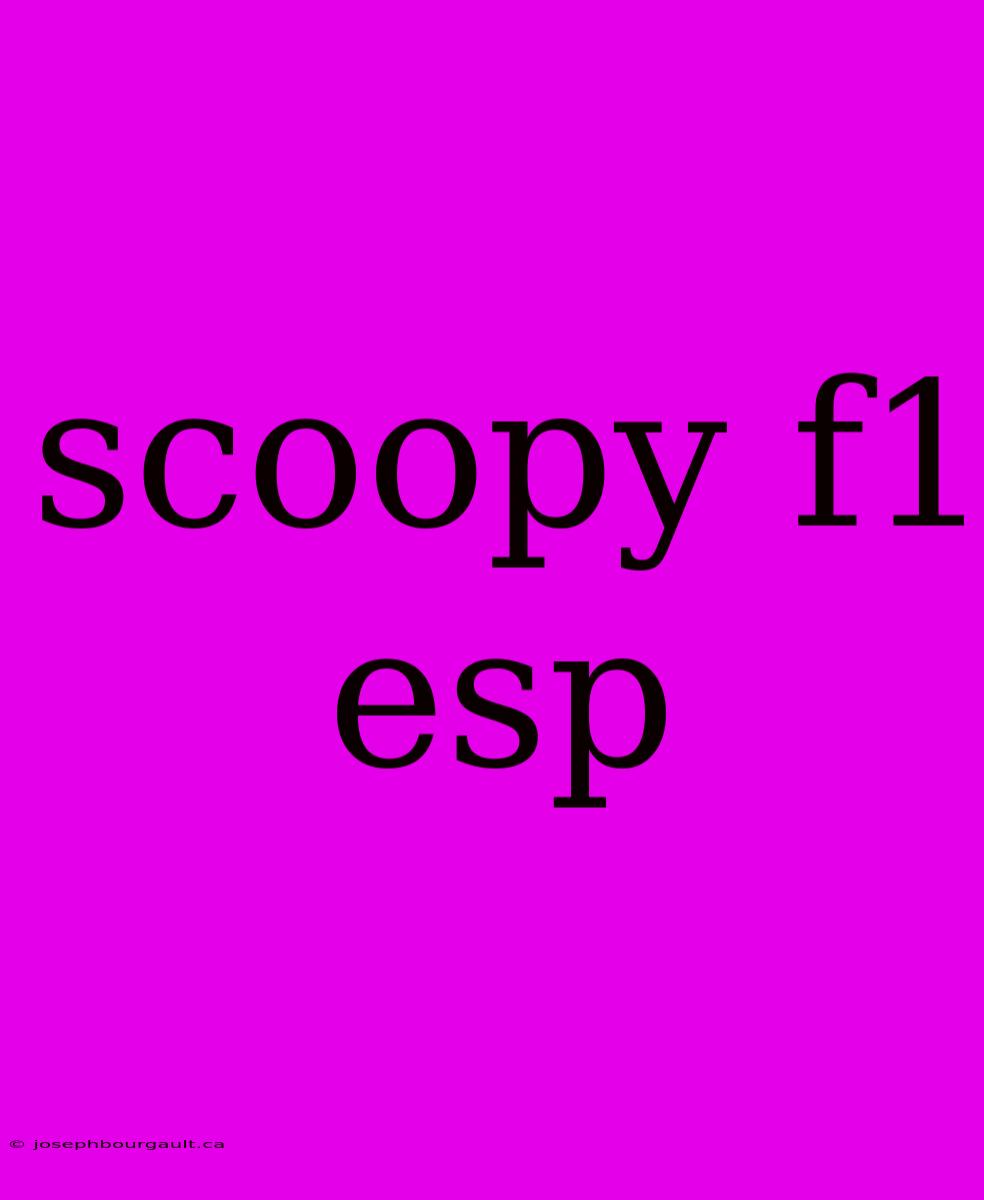 Scoopy F1 Esp