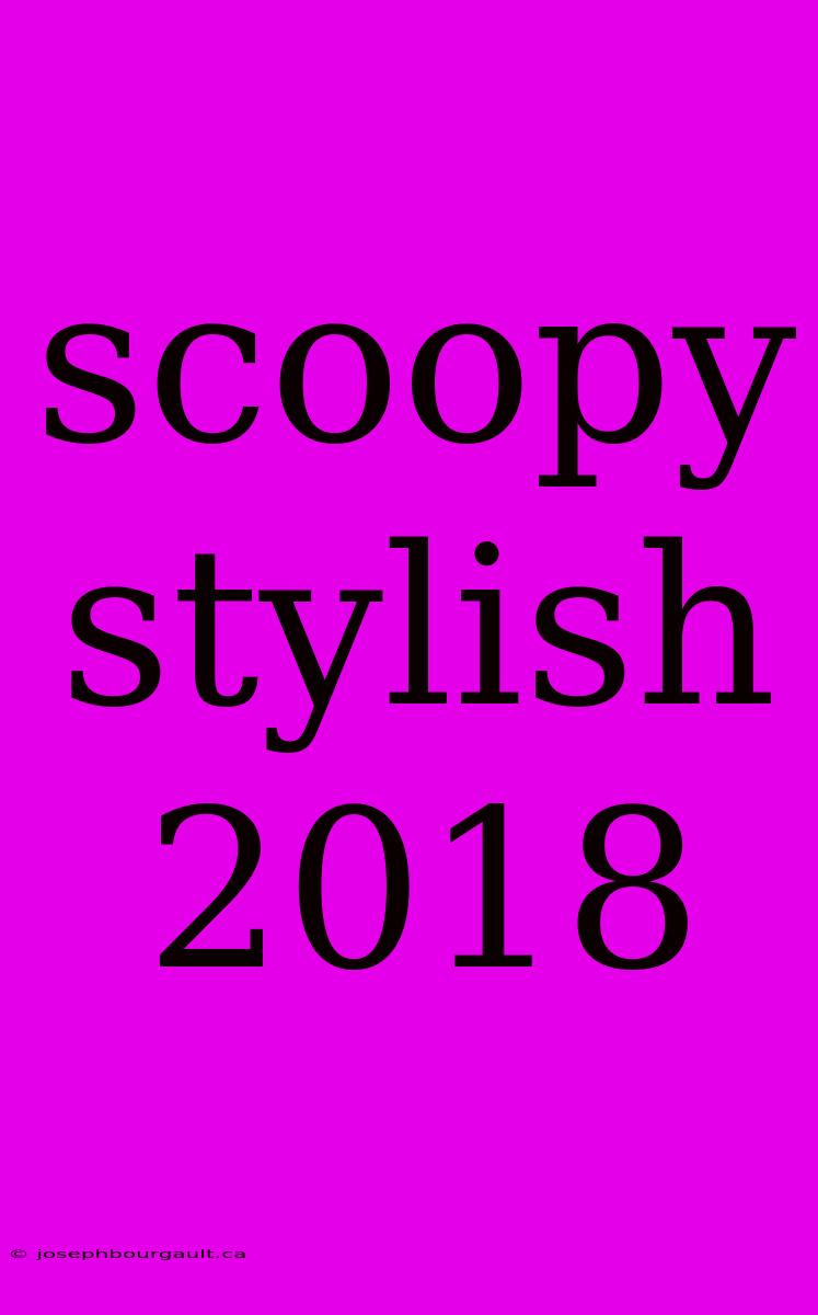 Scoopy Stylish 2018