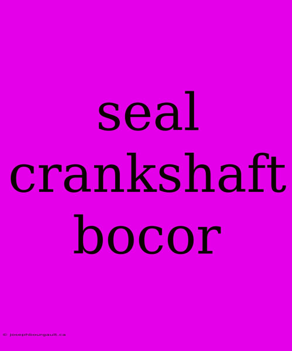 Seal Crankshaft Bocor