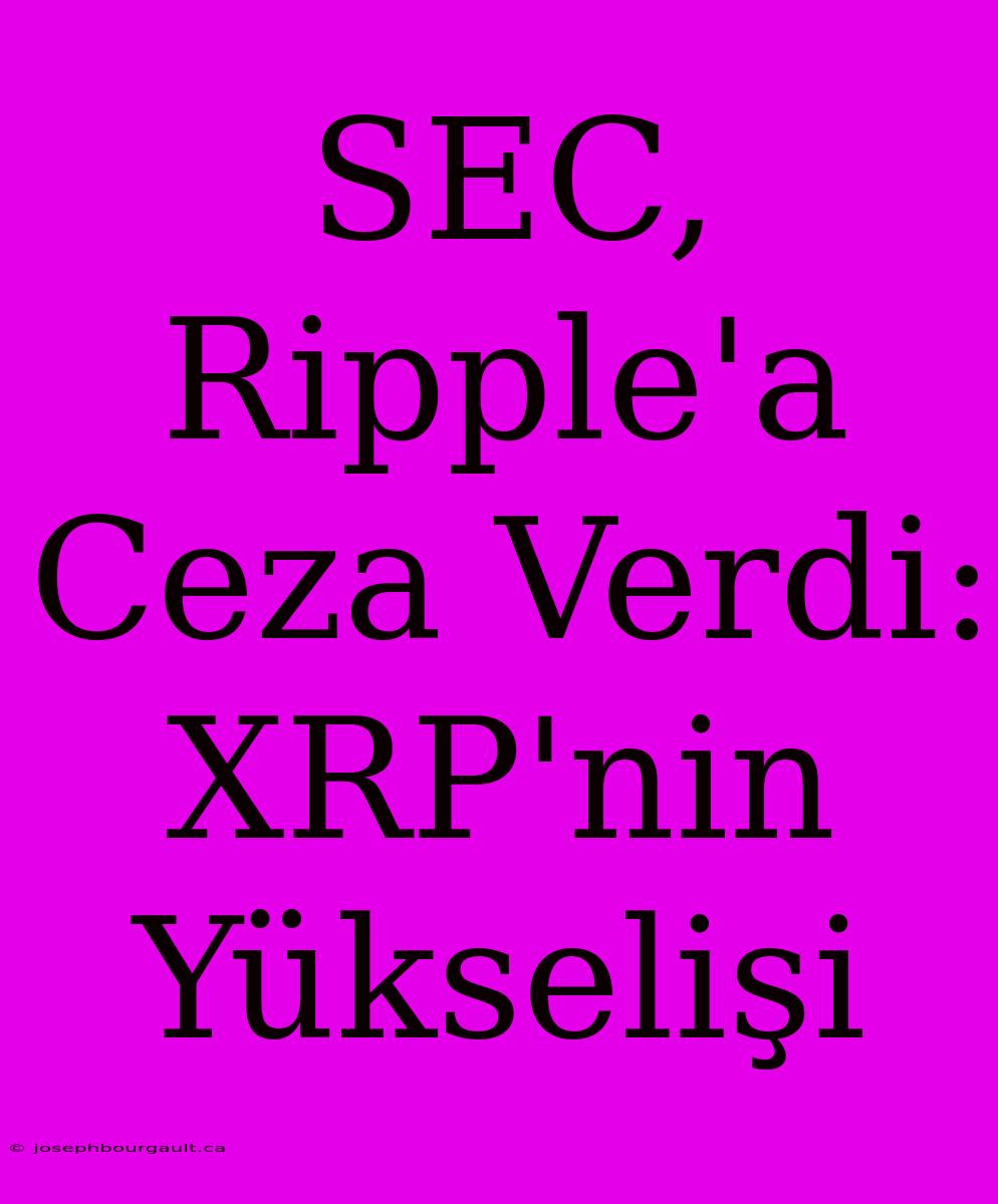 SEC, Ripple'a Ceza Verdi: XRP'nin Yükselişi