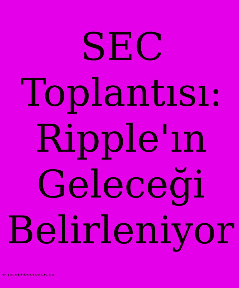 SEC Toplantısı: Ripple'ın Geleceği Belirleniyor