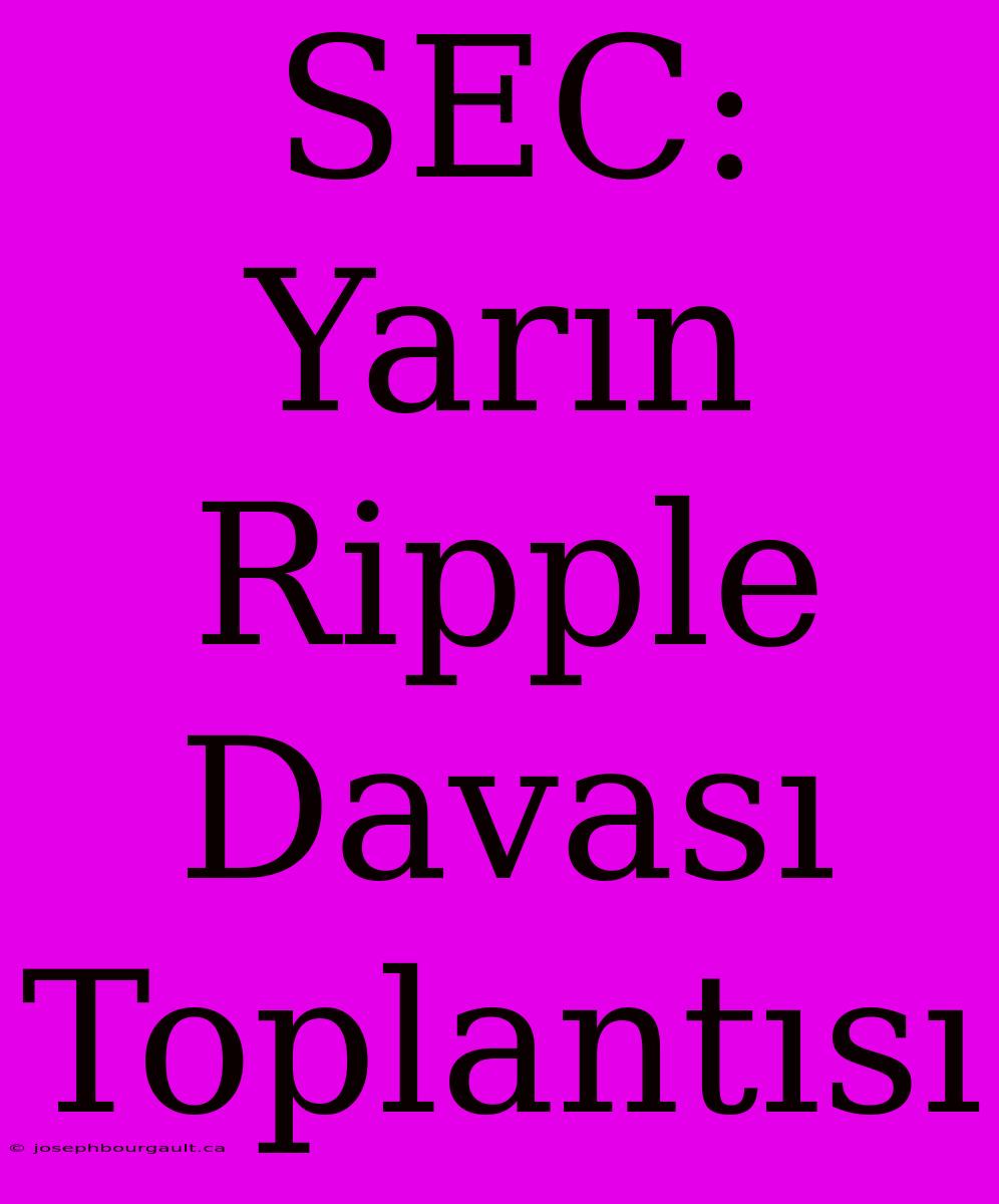 SEC: Yarın Ripple Davası Toplantısı