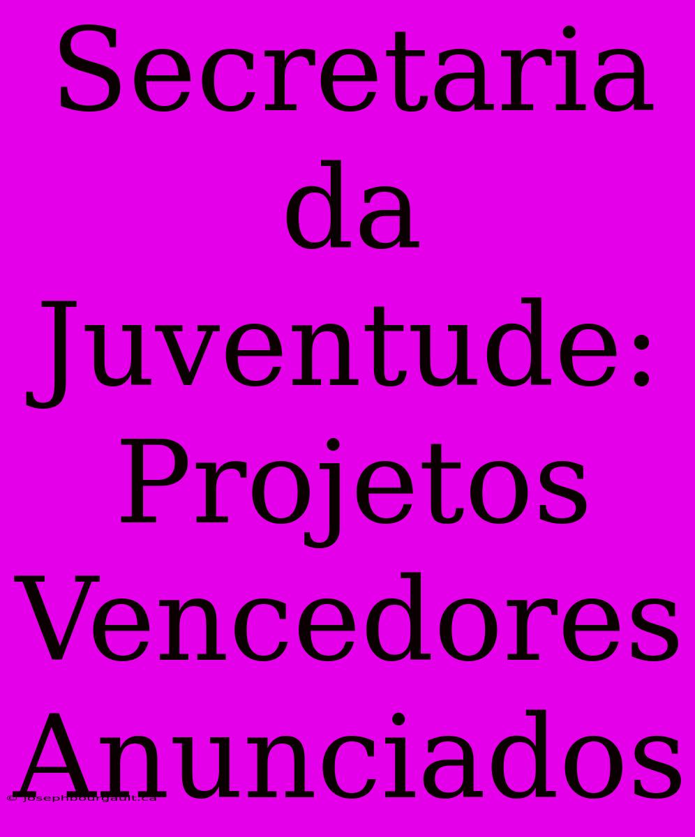 Secretaria Da Juventude: Projetos Vencedores Anunciados