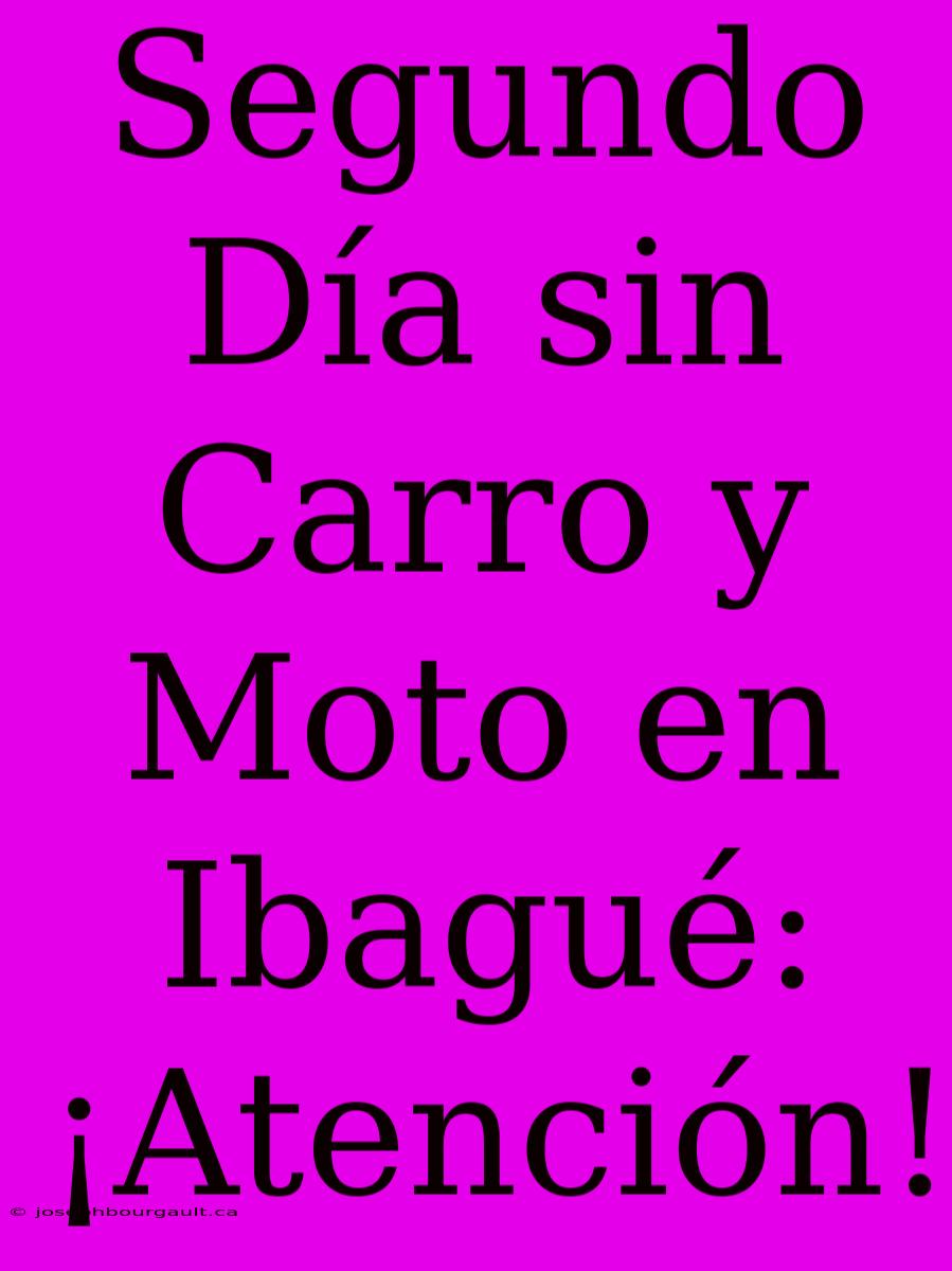 Segundo Día Sin Carro Y Moto En Ibagué: ¡Atención!