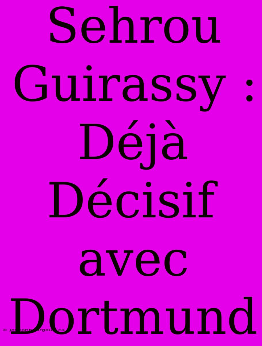 Sehrou Guirassy : Déjà Décisif Avec Dortmund