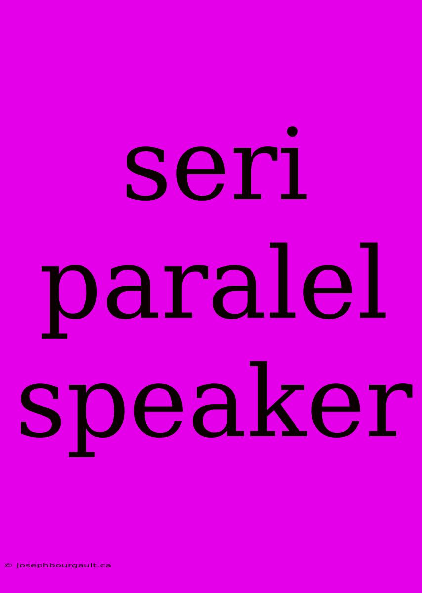 Seri Paralel Speaker