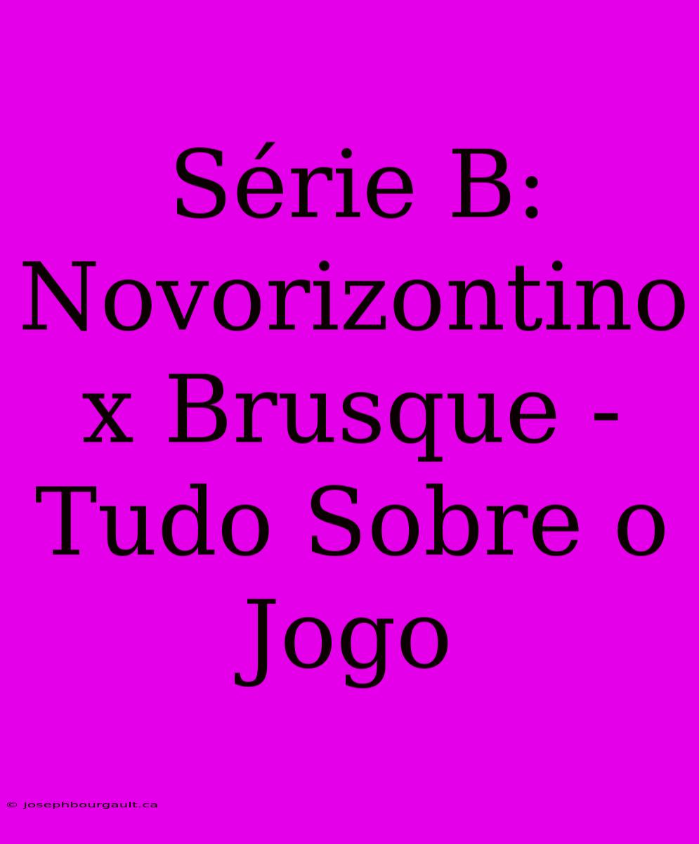 Série B: Novorizontino X Brusque - Tudo Sobre O Jogo