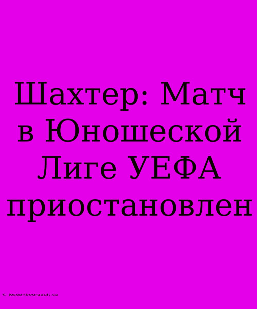 Шахтер: Матч В Юношеской Лиге УЕФА Приостановлен